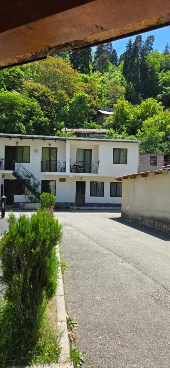My House Villa Borjomi Bagian luar foto